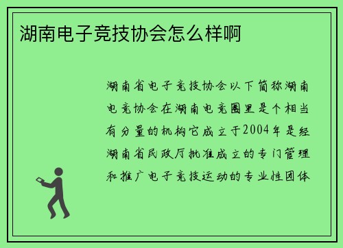 湖南电子竞技协会怎么样啊